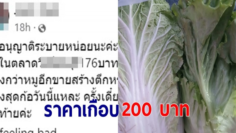 สาวโอดซื้อผักกาดขาว 2 หัวราคาเกือบ 200 บาท - พ่อค้ายอมรับราคาขึ้นจริง