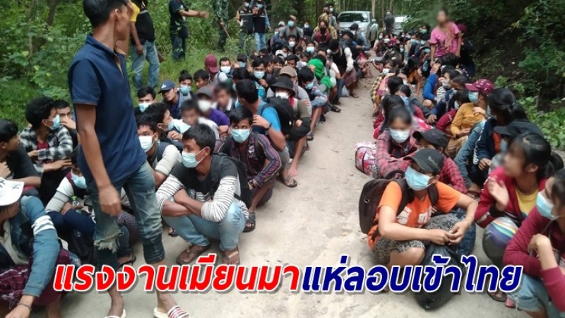 แรงงานเมียนมา แห่ลักลอบเข้าไทยรับเปิดประเทศเพียบ วันเดียวรวบได้ 260 ราย