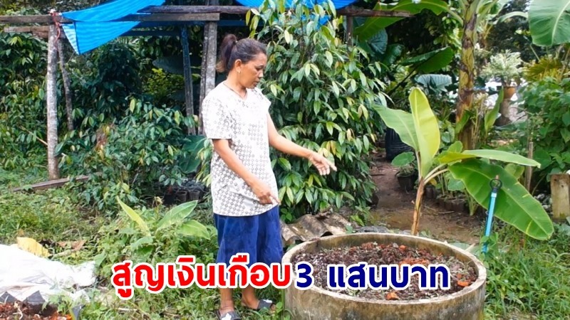 "สาวชุมพร" แค้นใจ ! ถูกมือดีย่องขโมย กล้วยเล็บมือด่าง - บอนฟาโรห์ สูญเงินเกือบ 3 แสนบาท