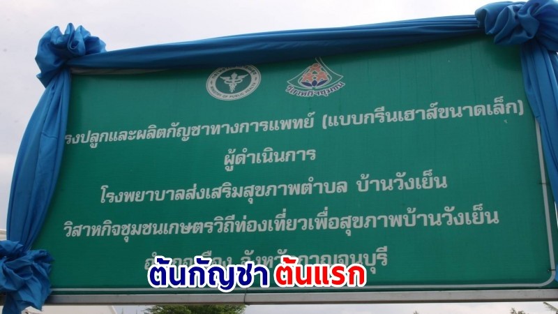 ฮือฮา ! พบ "ต้นกัญชาใบด่าง" มีผู้สนใจให้ราคาถึง 2 ล้านบาท