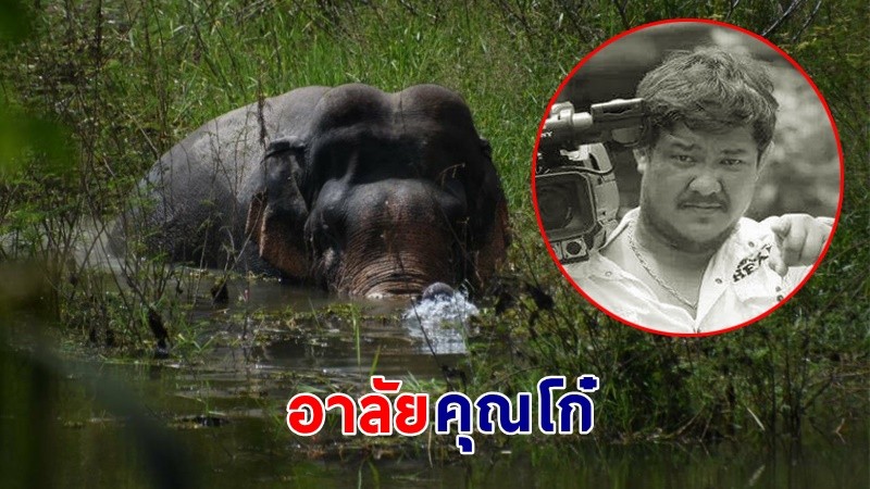 สุดอาลัย ! "นักข่าวช่อง7" ถูกช้างป่าทำร้ายจนเสียชีวิต