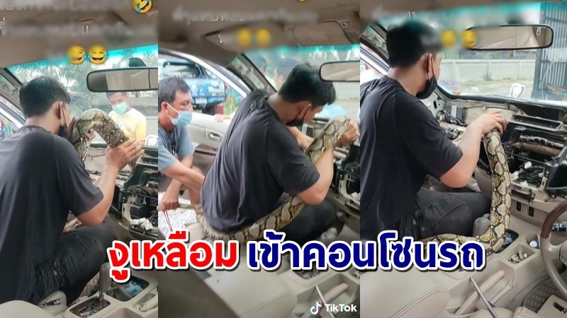 เจ้าของรถเห็น "คอนโซล"บวมผิดปกติ ให้ช่างดู เจอเต็มๆ "งูเหลือม" งานนี้ต้องรื้อยกชุด !