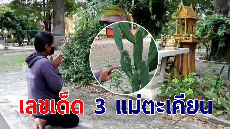 สาวใหญ่ขอเลขเด็ด 3 แม่ตะเคียน อายุกว่า 100 ปี หน้าวัดดังอ่างทอง