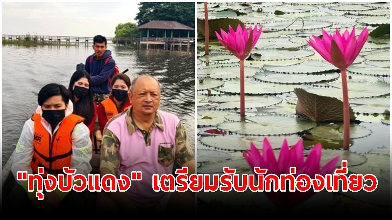 เจ้าหน้าที่สำรวจ "ทุ่งบัวแดง" เตรียมต้อนรับนักท่องเที่ยวช่วงฤดูหนาว