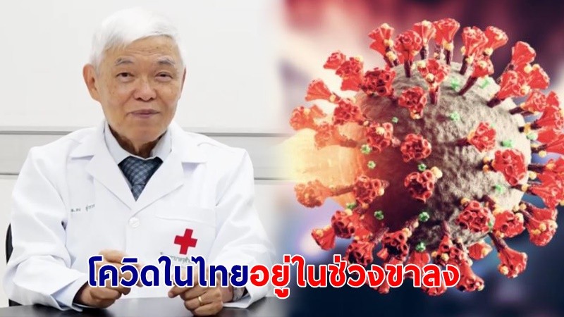 "หมอยง" ชี้! โควิด-19 ในไทยอยู่ในช่วงขาลง สร้างภูมิคุ้มกันด้วยการฉีดวัคซีน - ติดเชื้อ