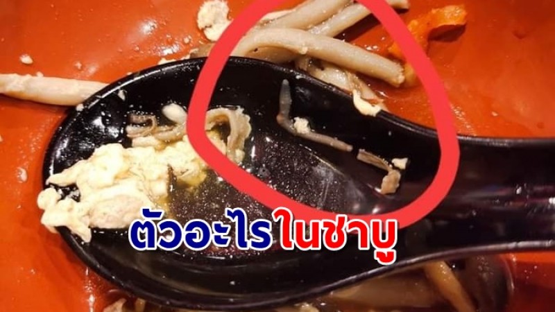 ขนลุกไม่กล้ากินต่อ 1 สาวเจอสิ่งแปลกปลอมในชาบูร้านดัง สงสัยเป็นไส้เดือนไหม?