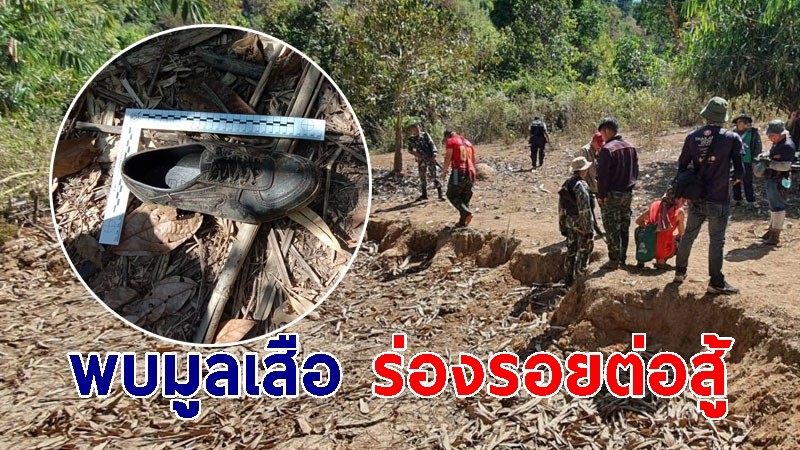 กรมอุทยานฯ-ตำรวจ ลุยตรวจที่เกิดเหตุ พบมูลเสือโคร่ง-ร่องรอยการต่อสู้ เตรียมผลักดันเสือโคร่งเข้าป่าลึก