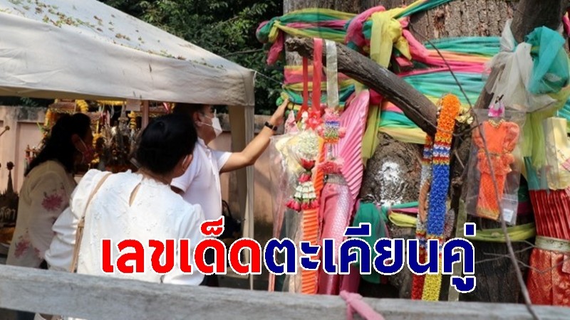 ส่องเลขเด็ดตะเคียนคู่ "แม่ย่าสไบทอง-แม่ย่าสร้อยสุดา"  หลังงวดที่แล้ว ให้โชคเต็ม ๆ