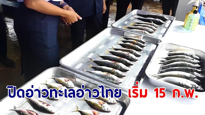 กรมประมงประกาศ "ปิดอ่าวทะเลอ่าวไทย" เริ่ม 15 ก.พ. ควบคุมการทำประมงฤดูปลามีไข่