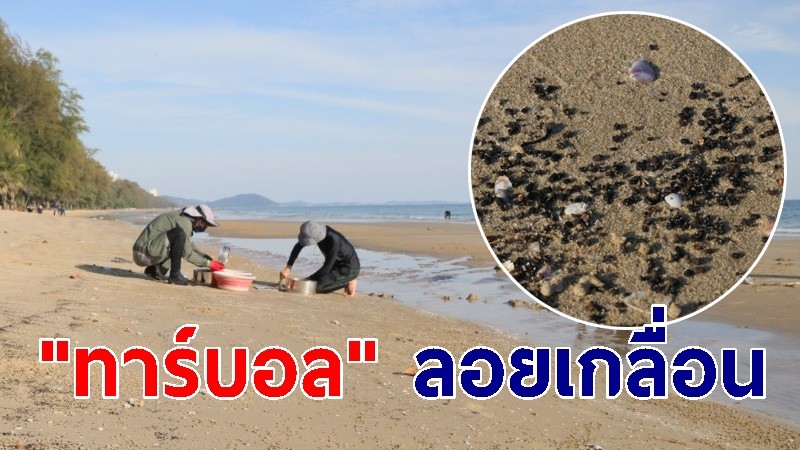 "ทาร์บอล" ลอยเกลื่อน ชายหาดแม่รำพึง ระยะทาง 1 กม.