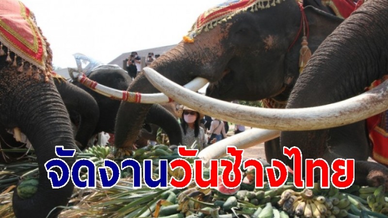สุรินทร์ จัดงานวันช้างไทย ทำบุญอุทิศส่วนกุศลให้ช้างควาญช้าง