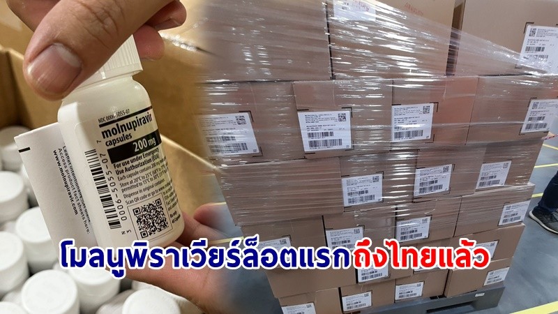 "โมลนูพิราเวียร์" ล็อตแรก 2 ล้านเม็ด ถึงไทยแล้ว ใช้รักษาผู้ป่วยโควิดระดับน้อย - ปานกลาง