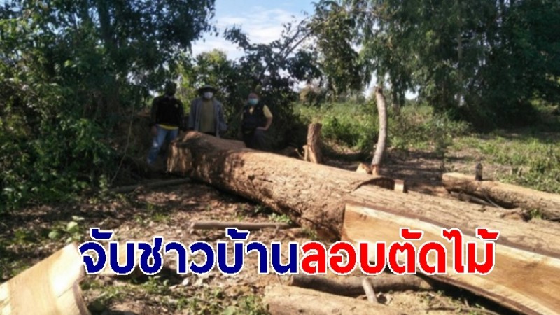 จนท.รวบชาวบ้าน 2 ราย พร้อมของกลาง ขณะลอบตัดไม้ในพื้นที่ป่าไม้สาธารณะประโยชน์