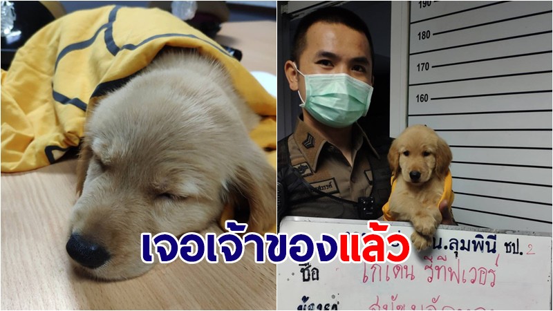 เจอเจ้าของแล้ว! "น้องมูมู่" โกเด้นพลัดหลง วันนี้ได้นอนบ้านแล้วนะ!