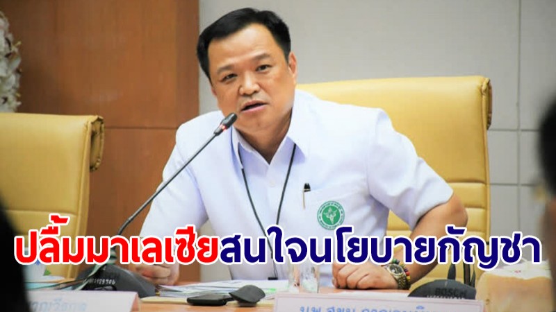 "อนุทิน" ปลื้มมาเลเซียสนใจนโยบายกัญชา เพื่อประโยชน์ทางการแพทย์ของไทย
