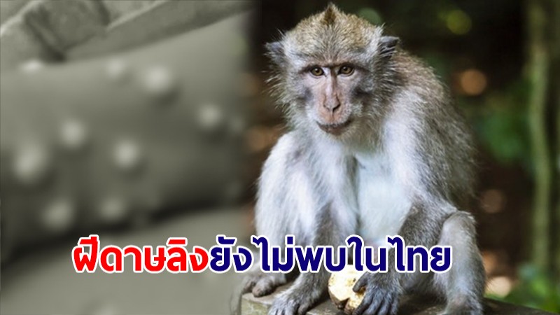 พบผู้ป่วยโรค "ฝีดาษลิง" ทั่วโลก 344 ราย ไทยยังไม่พบ เฝ้าระวัง-คัดกรองเข้มงวด