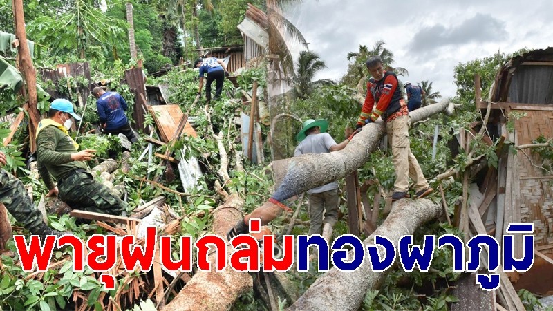 พายุฝนถล่มทองผาภูมิ ต้นไม้ล้มทับเสียหาย  2 หลังคาเรือน โชคดีไม่มีผู้ได้รับอันตราย