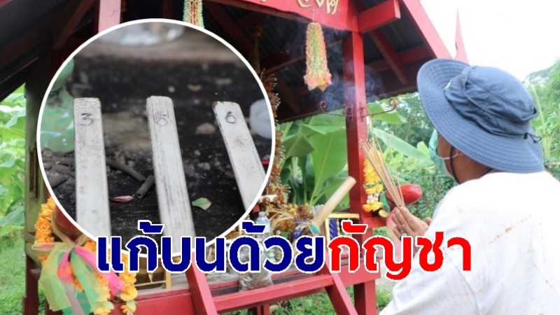 ชาวบ้านแก้บนพ่อศรสุริยวงศ์ด้วยกัญชา หลังรัฐบาลปลดล็อค  