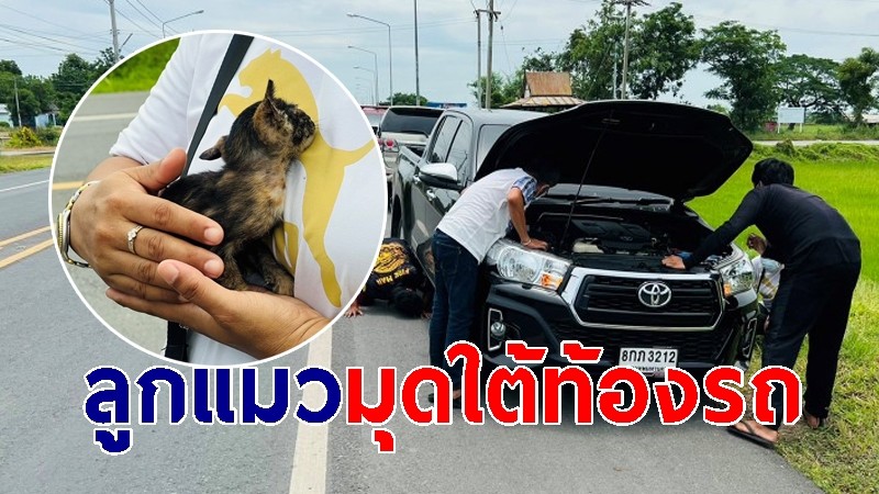 "ลูกแมวน้อย" มุดใต้ท้องรถกลางถนน ค้นหานานร่วม 2 ชั่วโมง ก่อนนำไปเลี้ยง ตั้งชื่อ "บุญหลาย"