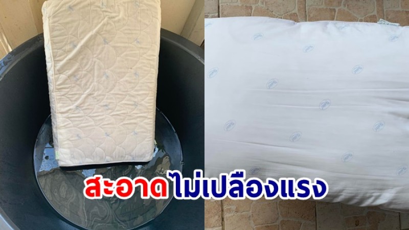 แห่แชร์ วิธีซักหมอนเก่า ชุบชีวิตให้สะอาดปิ้ง ไม่เปลืองแรงเหมือนได้ของใหม่ 