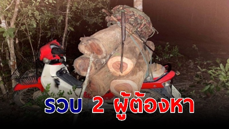 รวบ 2 ผู้ต้องหา ลอบตัดไม้ในพื้นที่ป่าหวงห้าม พร้อมของกลาง พบยาบ้า