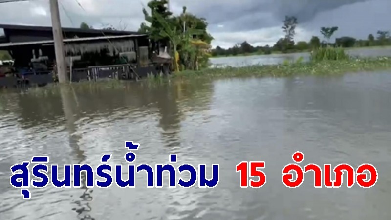 พายุโนรูแผงฤทธิ์ ทำให้น้ำท่วม 15 อำเภอ จ.สุรินทร์  พื้นที่การเกษตรคาดเสียหาย 1 แสนไร่