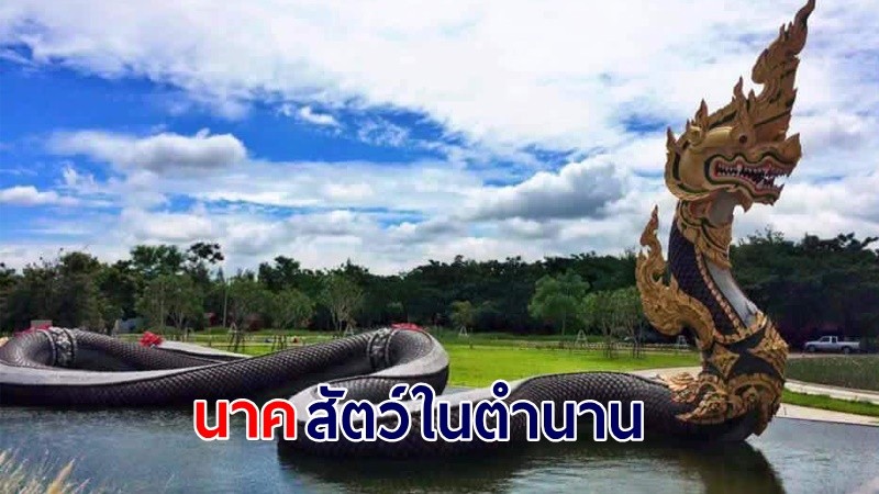 ครม. เสนอ "นาค" เป็นเอกลักษณ์ประจำชาติประเภทสัตว์ในตำนาน