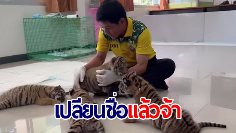 เปลี่ยนชื่อละจ้า ลูกเสือโคร่ง ทั้ง 4 ใช้ชื่อ "มุกดา - สะหวัน - ข้ามโขง -ข้ามแดน"