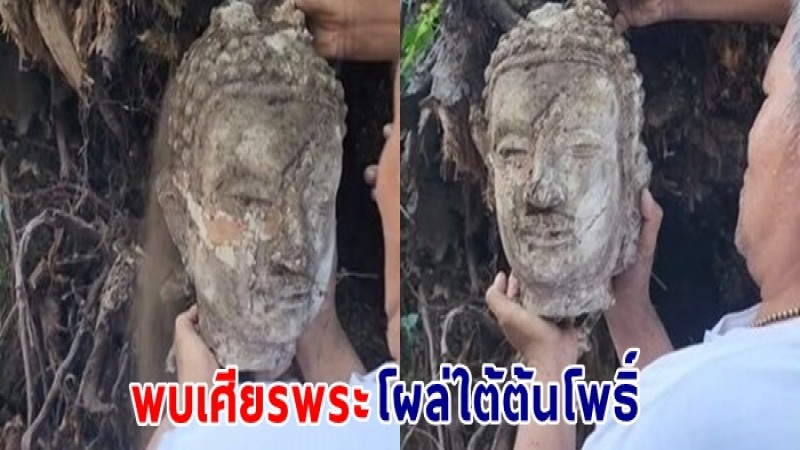 เดินมากรวดน้ำได้ยินเสียง "มาขุดเราออกไปที อยู่ที่นี่มาหลายร้อยปี" ก่อนพบเศียรพระอยู่ในต้นโพธิ์