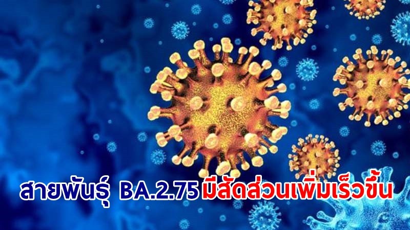 ไทยพบโควิด BA.2.75 และลูกหลาน มีสัดส่วนเพิ่มขึ้น ห่วงกลายพันธุ์แพร่เร็ว - ติดเชื้อง่าย