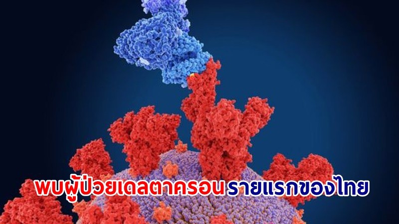 กรมวิทย์ฯ ยืนยัน ! พบผู้ป่วย "เดลตาครอน" รายแรกของไทย หายเป็นปกติแล้ว ส่วนโอมิครอน BA.2.75 ติดเชื้อเพิ่มขึ้นต่อเนื่อง