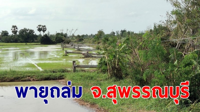 ฝนตกพายุถล่ม จ.สุพรรณบุรี หลายอำเภอบ้านพังนับ 100 หลัง เสาไฟหักโค่น