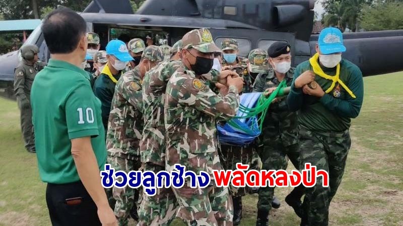 ผบ.พล.9 สั่ง ฮ.ทหาร บินลงป่าลึกศรีสวัสดิ์ ช่วยนำลูกช้างป่าพลัดหลงป่า บาดเจ็บนำส่งกรมอุทยานบึงฉวากปลอดภัย