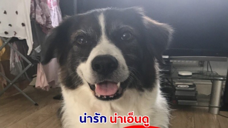 ลูกสาวขอให้แม่หยิบสายชาร์จโทรศัพท์ให้ แต่งานทั้งเซอร์ไพรส์ และเอ็นดู