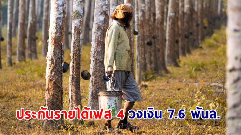 กนย. ไฟเขียว ! ประกันรายได้ชาวสวนยาง เฟส 4 วงเงิน 7.6 พันล. จ่อชง ครม. เร็วๆนี้ คาดเริ่มจ่ายเงิน ก.พ. 66