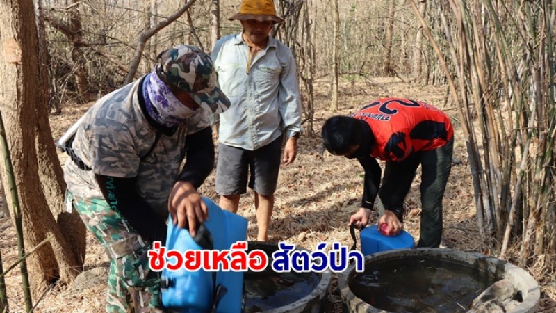 ขหล.เขาสมโภชน์ พร้อมด้วยภาคีเครือข่ายด้านการอนุรักษ์ ร่วมกันขนน้ำเติมแหล่งน้ำบนภูเขา ช่วยสัตว์ป่าในฤดูแล้ง