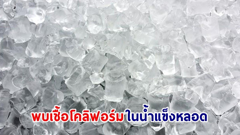 อย. ตรวจพบน้ำแข็งหลอดย่านวัชรพล พบเชื้อโคลิฟอร์ม - อี.โคไล ระวังเสี่ยงท้องร่วง