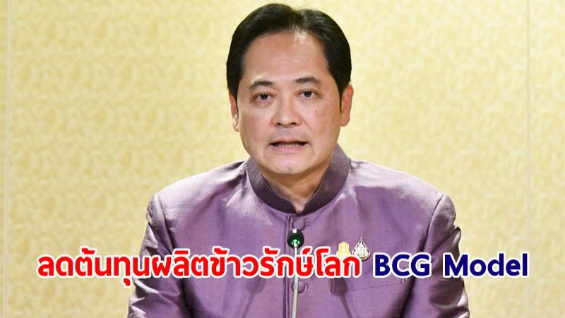 ครม.เคาะ 875 ล้าน ลดต้นทุนผลิตข้าวรักษ์โลก BCG Model ยกระดับมาตรฐานข้าวไทย