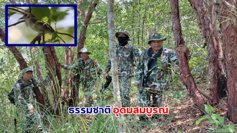 ขหล.เขาปะช้าง แหลมขาม เผย ลาดตระเวนเชิงคุณภาพ พบธรรมชาติสมบูรณ์ !