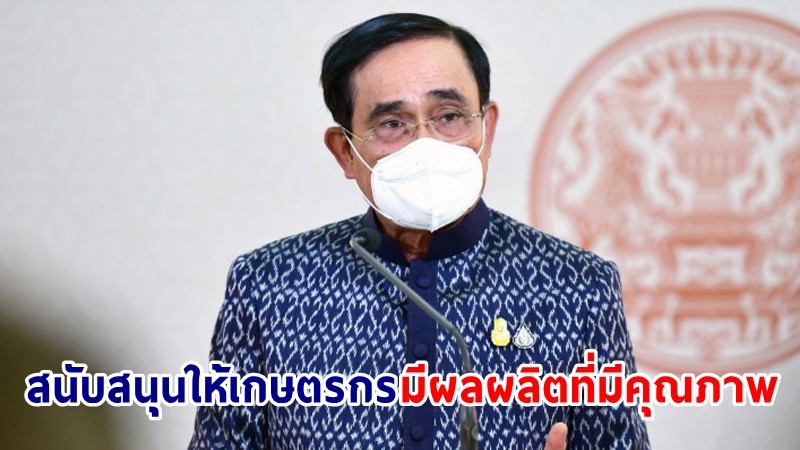 นายกฯ เน้นย้ำ ยุทธศาสตร์ยางพารา สนับสนุนให้เกษตรกรมีผลผลิตที่มีคุณภาพ ขายได้ราคาดี