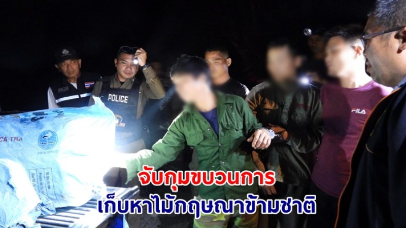จับกุมขบวนการ เก็บหาไม้กฤษณาข้ามชาติ ในพื้นที่เขตรักษาพันธุ์สัตว์ป่าภูเขียว หลังติดตามเกือบ 2 เดือน