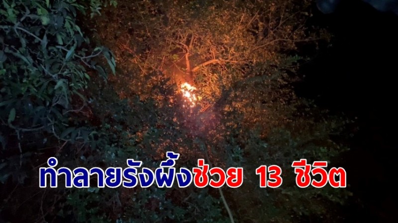 กู้ภัย บุกทำลายรังผึ้งหลวง ช่วย 13 ชีวิต หลังอาศัยในที่มืด สุดลำบาก หวั่นถูกทำร้าย