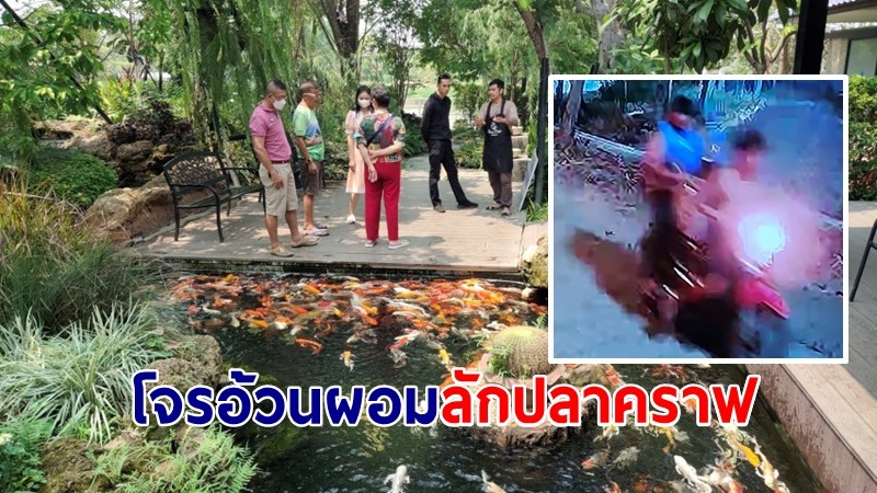 วงจรปิดจับภาพโจรวัยรุ่นอ้วนผอมใจบาป ลักปลาคราฟในบ่อวัดดัง