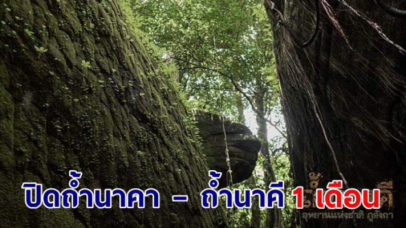 อุทยานแห่งชาติภูลังกา ประกาศปิดถ้ำนาคา – ถ้ำนาคี  เพื่อฟื้นฟูทรัพยากรธรรมชาติ 1 เดือน