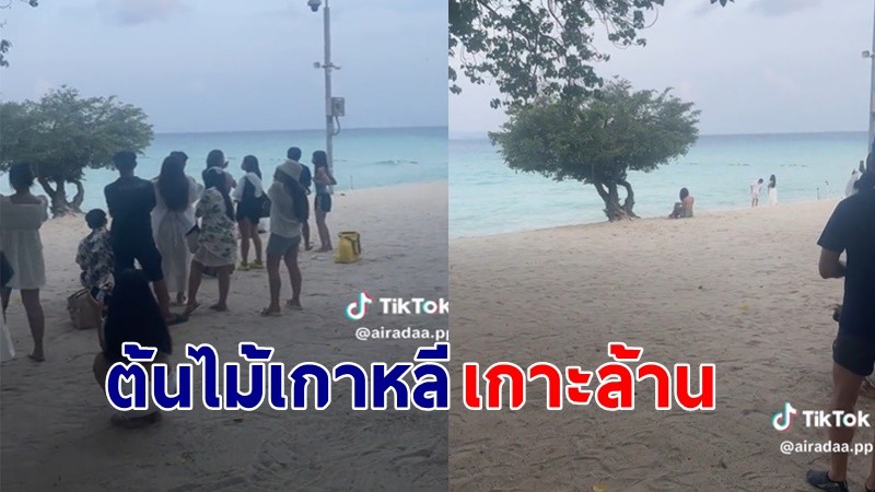 "นักท่องเที่ยว" ยืนต่อแถวตั้งแต่ 6 โมงเช้า เพื่อถ่ายรูปกับต้นไม้ที่เกาะล้าน !