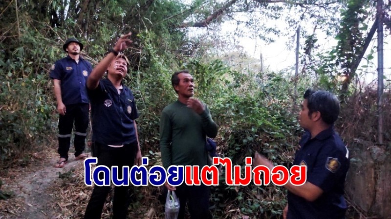 โดนต่อยแต่ไม่ถอย! กู้ภัยสู้ชีวิตปีนหลังคากำจัดรังต่อหัวเสือ ข้างบ้านชาวบ้าน หวั่นเกิดอันตราย