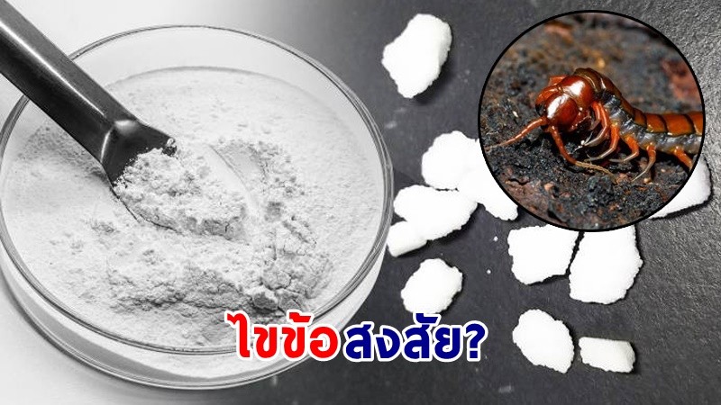 ไขข้อสงสัย ! "ไซยาไนด์" ใช้กำจัดสัตว์เลื้อยคลานมีพิษ ได้หรือไม่?