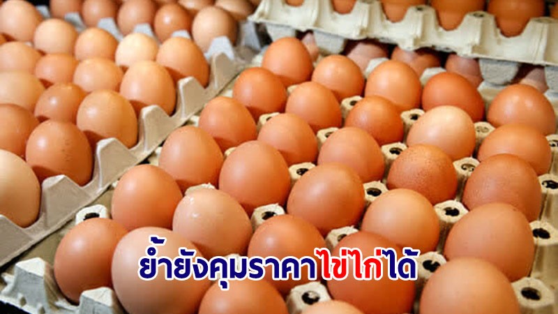 พาณิชย์ ยันราคาไข่ไก่หน้าฟาร์ม-ขายปลีก ยังอยู่ในช่วงราคากำกับดูแลได้
