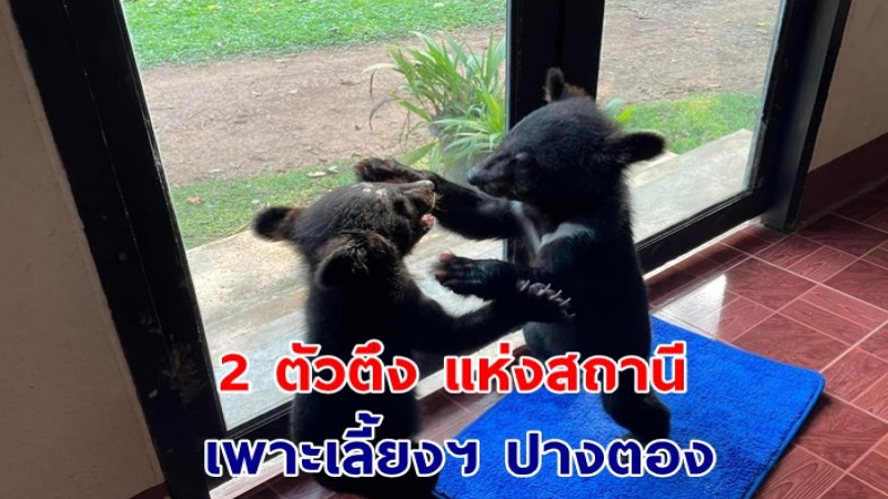 พาส่อง "พี่อัลฟ่า-น้องบร้าโว้" 2 ตัวตึง แห่งสถานีเพาะเลี้ยงฯ ปางตอง !!