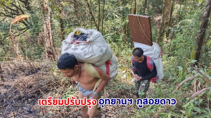 อุทยานฯ ภูสอยดาว หาบวัสดุอุปกรณ์ขึ้นบนลานสน พัฒนาปรับปรุงแหล่งท่องเที่ยว เตรียมพร้อมเปิดพิชิต 1 ก.ค.นี้